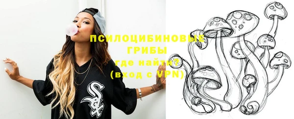 скорость Богданович