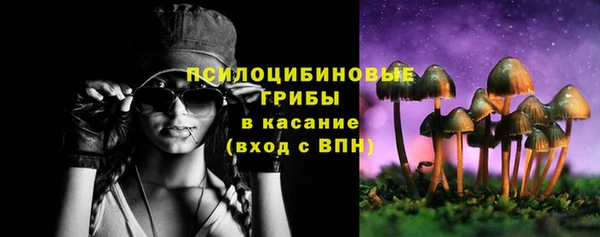 ECSTASY Михайловск