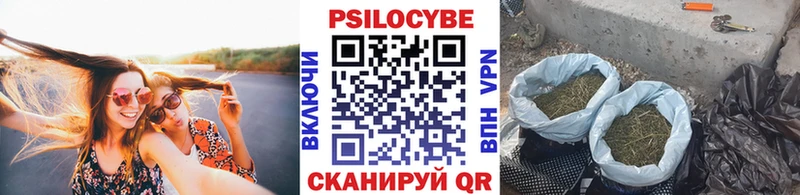 Псилоцибиновые грибы Psilocybine cubensis  наркотики  Воткинск 