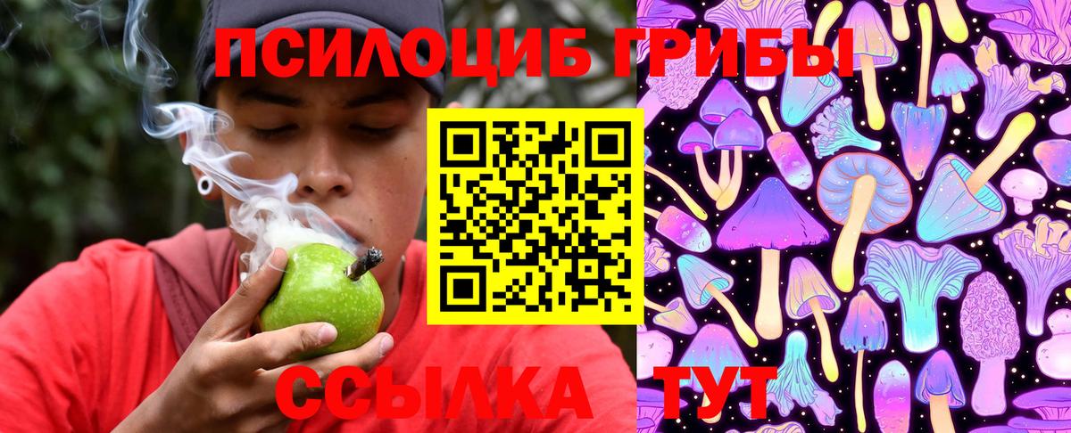 Галлюциногенные грибы Psilocybe  Воткинск  где продают наркотики  Псилоцибиновые грибы MAGIC MUSHROOMS 