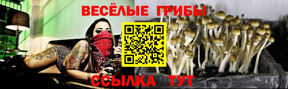 Галлюциногенные грибы мицелий Воткинск