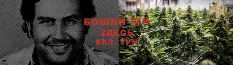 Бошки Шишки THC 21%  Воткинск 